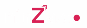 ninza logo